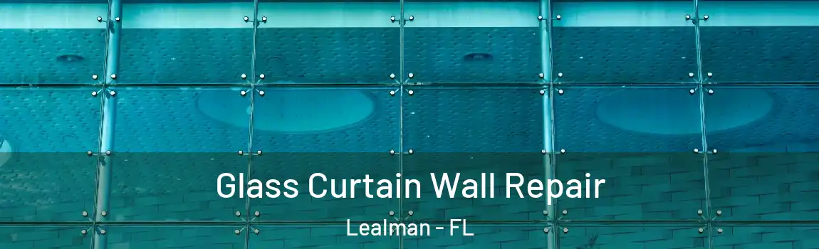  Glass Curtain Wall Repair Lealman - FL