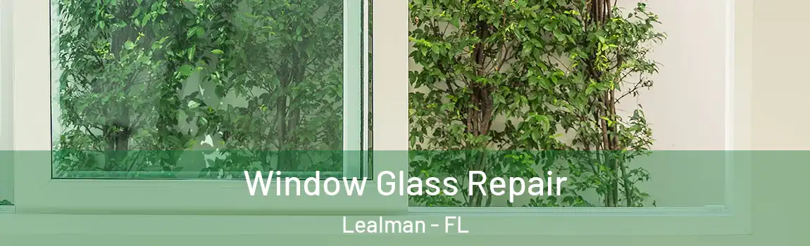  Window Glass Repair Lealman - FL